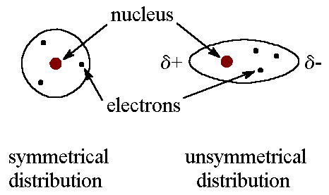 examples of each dispersio forces